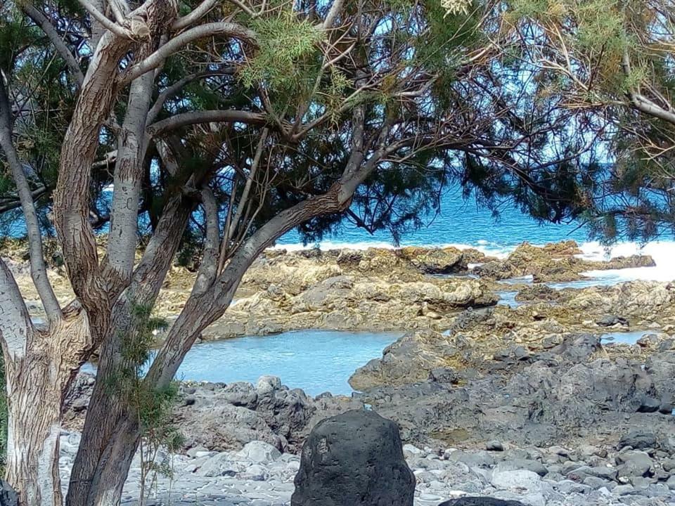 Buenavistera Daire Buenavista Del Norte Dış mekan fotoğraf