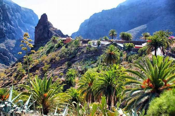 Buenavistera Daire Buenavista Del Norte Dış mekan fotoğraf